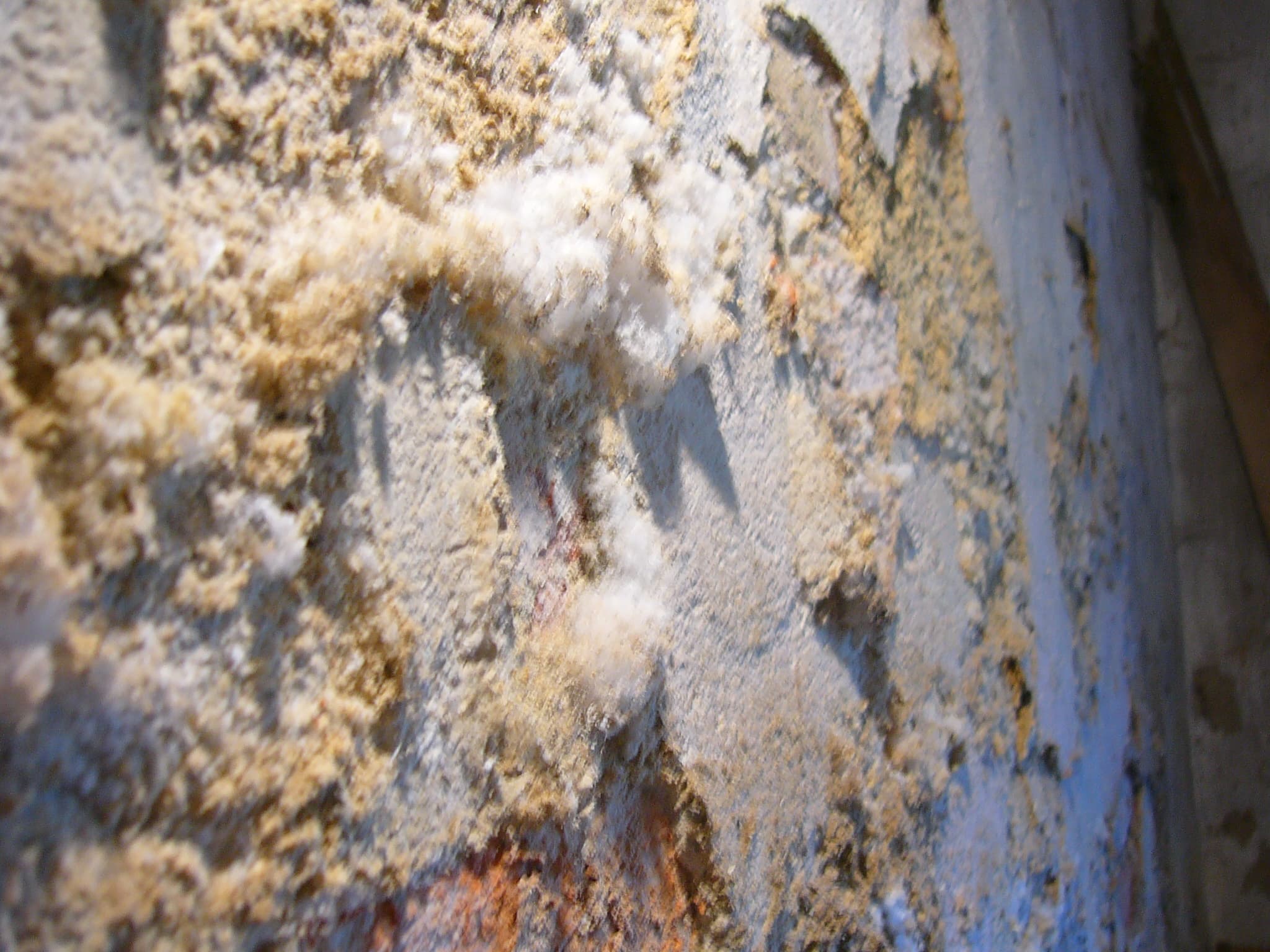 Photographie réelle de dépôts blancs de sels sur un mur enduit